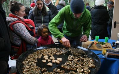 Allons aux champignons !