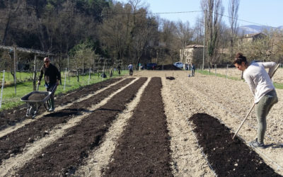 Les jardins de Ste-Croix prennent forme