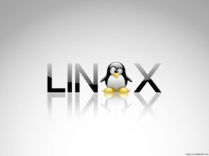 visuel_linux