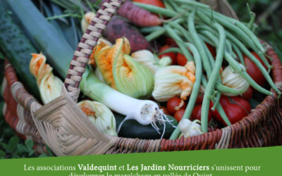 Distribution de paniers de légumes à Ste-Croix : dernière ligne droite !