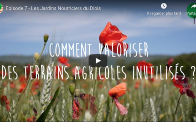 Les Jardins Nourriciers en vidéo!