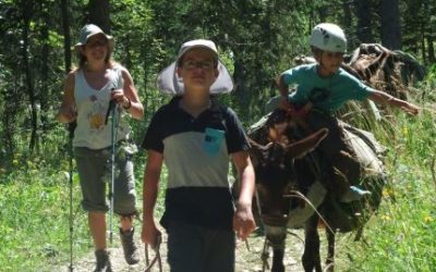 Promenons-nous dans les bois avec nos amis les ânes !