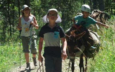 Promenons-nous en vallée de quint… accompagnés d’ânes !