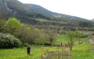 Des nouvelles de l’Ancien Monastère