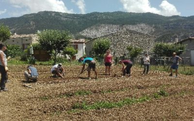 Valdequint, Jardins nourriciers, on vous dit tout!