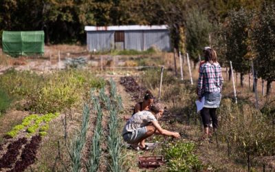 Soutenir le projet de maraîchage coopératif dans la vallée de Quint !