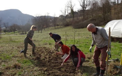 NOUVEAU CHANTIER A LA PÉPINIÈRE ASSOCIATIVE DE SAINTE CROIX