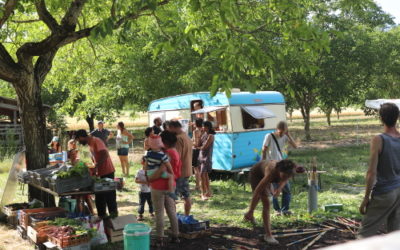 Le programme des animations du petit marché de Sainte-Croix